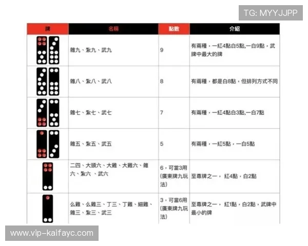 掌握抢庄牌九的玩法策略提升你的胜率技巧